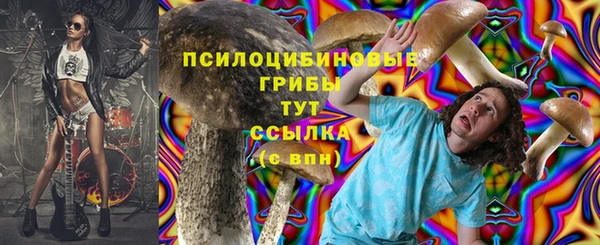 синтетический гашиш Верхний Тагил